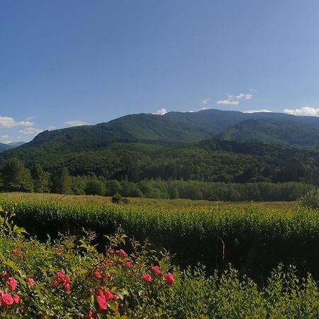 Valea Doamnei Otel Nucşoara Dış mekan fotoğraf