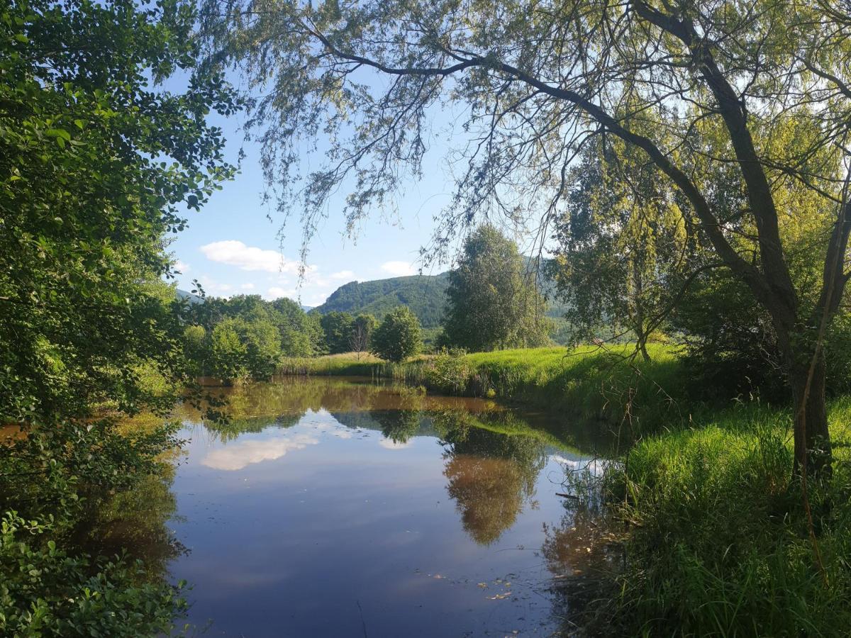 Valea Doamnei Otel Nucşoara Dış mekan fotoğraf