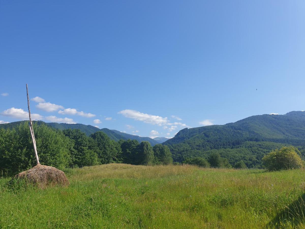 Valea Doamnei Otel Nucşoara Dış mekan fotoğraf