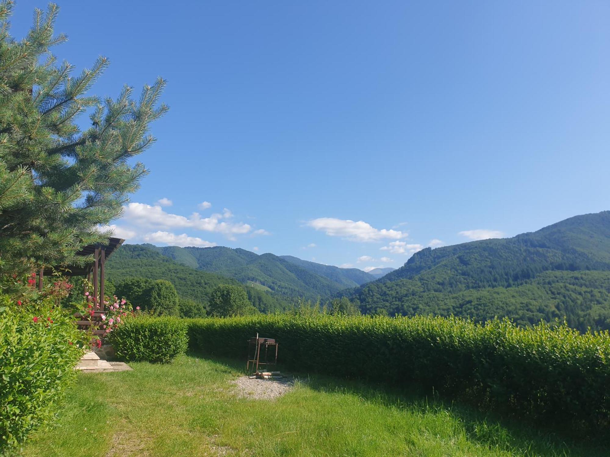 Valea Doamnei Otel Nucşoara Dış mekan fotoğraf