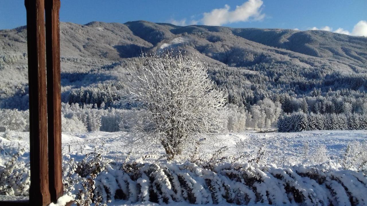 Valea Doamnei Otel Nucşoara Dış mekan fotoğraf